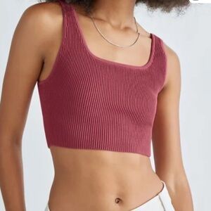 Aritzia Babaton Ribbed Burgundy Crop Top